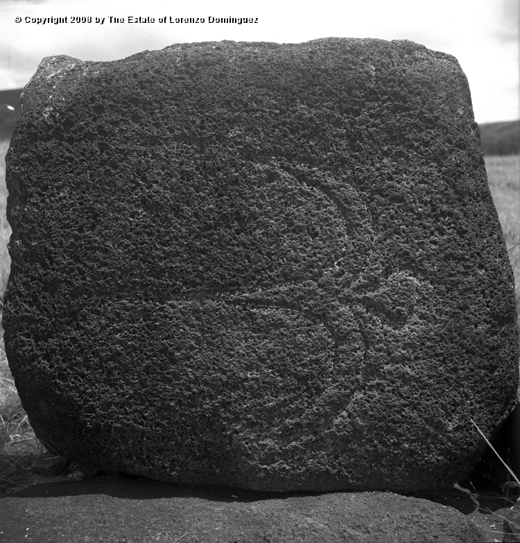 ANA_Pajaro_En_Vuelo_04.jpg - Easter Island. 1960. Anakena. Petroglyph over the paenga of an ahu representing a flying bird.